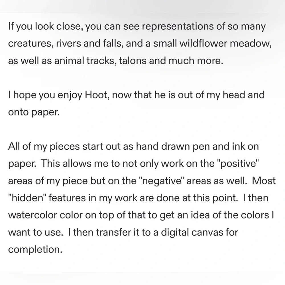 2/$40 Elegant OWL Blue and Green Scarf - Picture 7 of 7